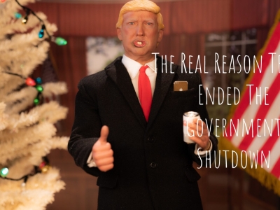 Here’s Why Donald Trump ACTUALLY Ended The Government Shutdown